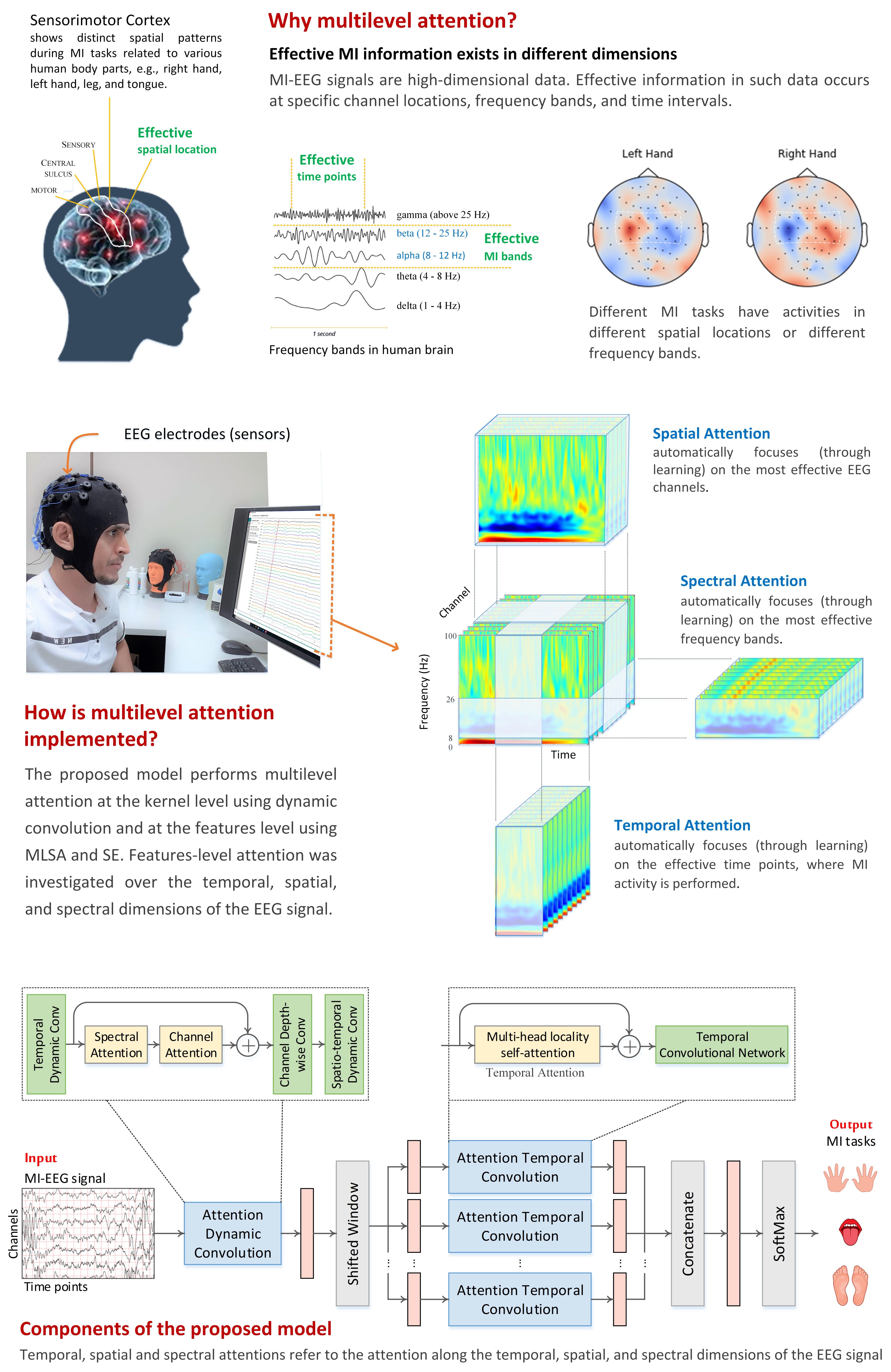 D-ATCNet: Dynamic Conv with Multilevel Attention